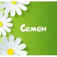 Открытка Открытки с именем Семен - Открытка с цветами: ромашки на зеленом фоне | Красивая открытка #171