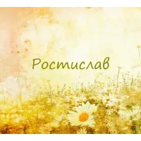 Открытка Открытки с именем Ростислав  - Поле ромашек: открытка с цветами | Красивая открытка #84