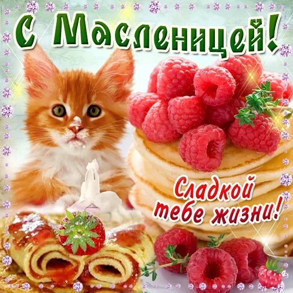 Открытка Масленица - Открытка с котенком и малиной | Красивая открытка #86