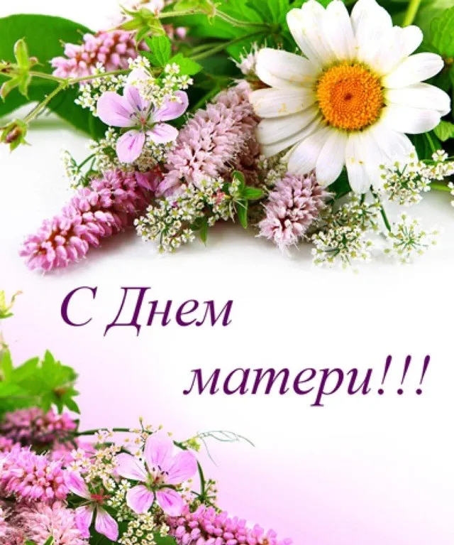 Открытка Открытки с днем матери - Открытка с полевыми цветами: ромашки и фиалки | Красивая открытка #1