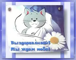 Открытка Открытки скорейшего выздоровления - Открытка с милым котенком и ромашкой | Красивая открытка #186