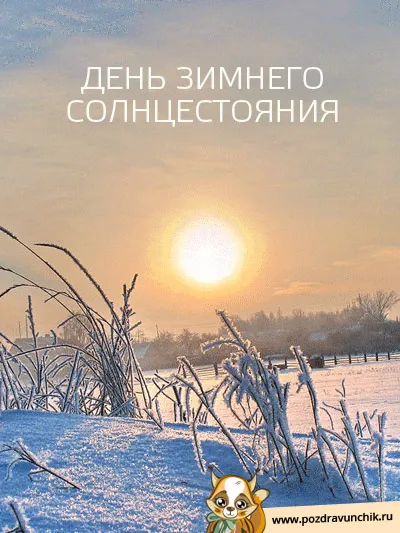 Открытка Открытки на день зимнего солнцестояния - Зимний пейзаж: снег, морозные деревья, восход солнца | Красивая открытка #23
