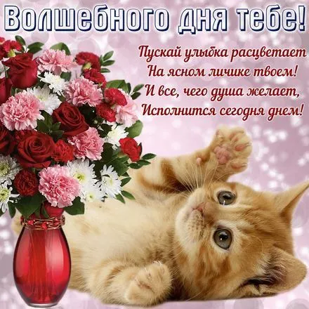 Открытка добрый день - Кошка и цветы: Красивая открытка с котенком | Красивая открытка #87