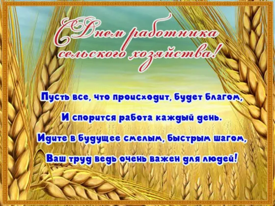 Открытка День работников сельского хозяйства - Поле пшеницы, поздравление с Днём работников сельского хозяйства | Красивая открытка #4