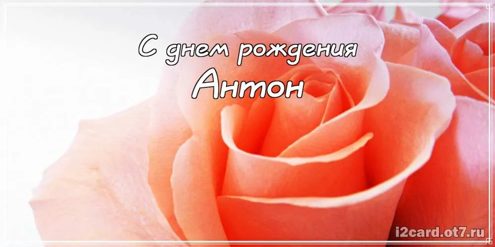 Открытка открытки с именем Антон  - Открытка с розами: нежные цветы для тебя | Красивая открытка #68