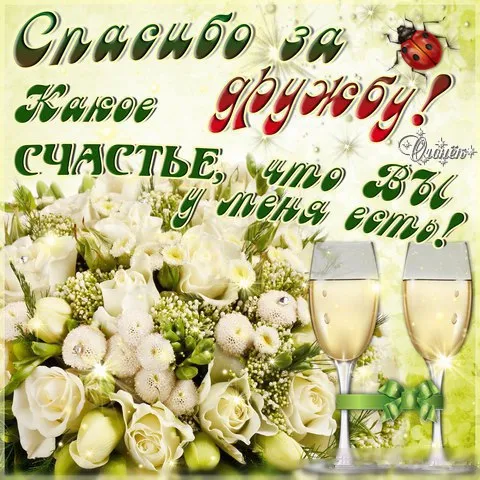 Открытка Открытки о дружбе - Открытка с шампанским и цветами | Красивая открытка #12