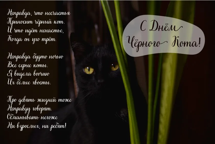 Открытка День черного кота - Открытка с черным котом на фоне зелени | Красивая открытка #11