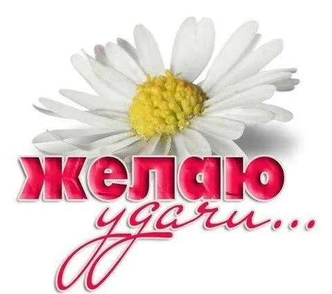 Открытка Удачи - Открытка с ромашкой | Красивая открытка #13