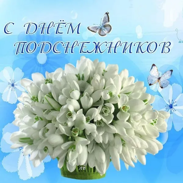 Открытка Открытки с днем подснежника - Открытка с белыми цветами и бабочками | Красивая открытка #24