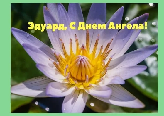 Открытка Открытки с именем Эдуард - Лилии: нежные цветы для открыток | Красивая открытка #160