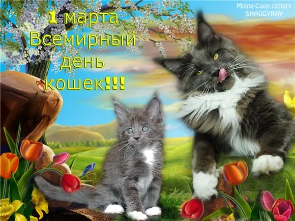 Открытка С Всемирным днём кошек - Открытка с котятами Мейн-кун и весенними цветами | Красивая открытка #50