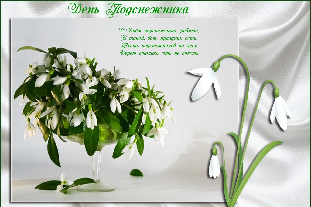 Открытка С днём подснежника - Снежные подснежники: нежная весенняя открытка | Красивая открытка #76