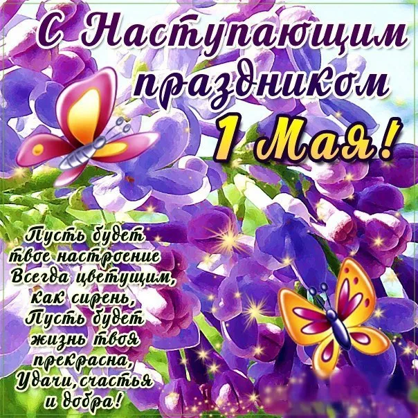 Открытка 1 мая - Открытка с цветами и бабочками | Красивая открытка #106