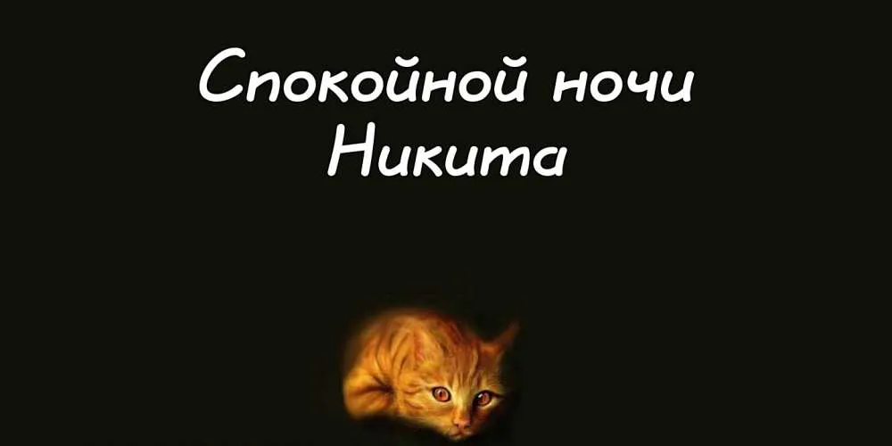 Открытка Открытки с именем Никита - Рыжий котёнок: открытка на ночь — купить онлайн | Красивая открытка #158