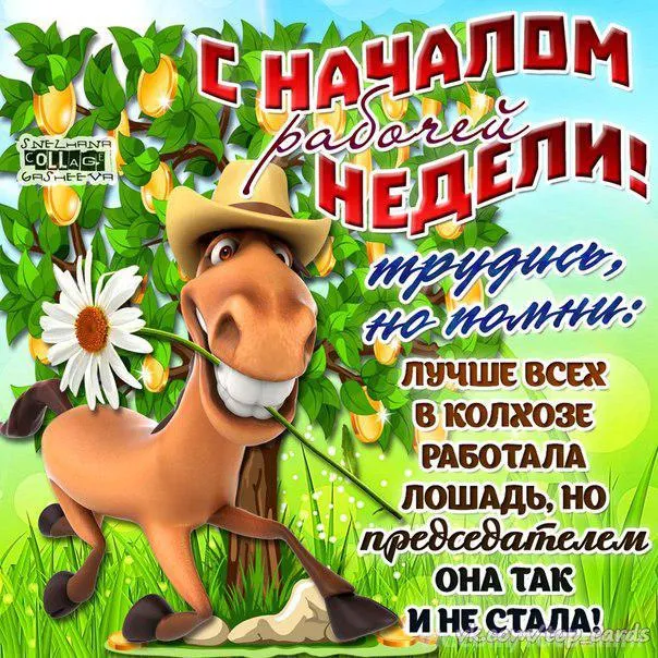 Открытка Хорошей недели - Открытка с рисунком лошади и цветами | Красивая открытка #86