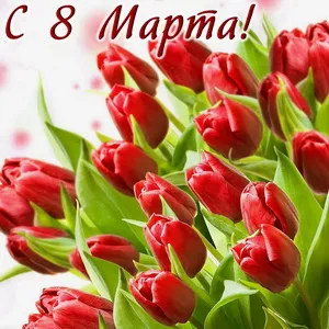 Открытка 8 матра - Букет тюльпанов: Красные цветы на 8 марта | Красивая открытка #29