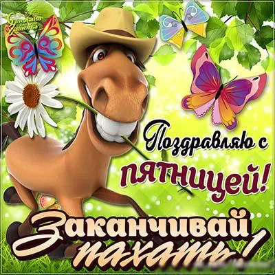 Открытка Пятница - Открытка с мультяшным конем и цветами | Красивая открытка #44