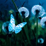 Открытка С одуванчиками - Открытка: Голубая бабочка на одуванчиках | Красивая открытка #80