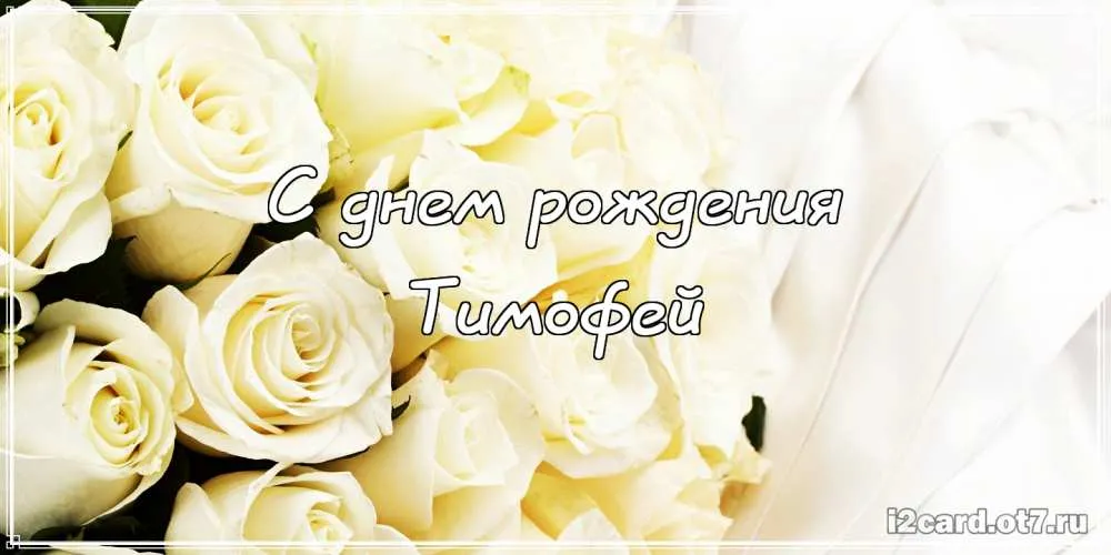 Открытка Открытки с именем Тимофей - Открытка с белыми розами: С днем рождения! | Красивая открытка #115