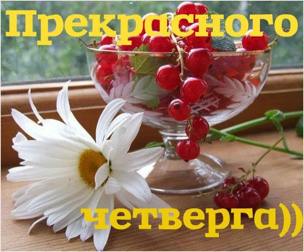 Открытка С четвергом - Открытка с цветком и красной смородиной | Красивая открытка #33