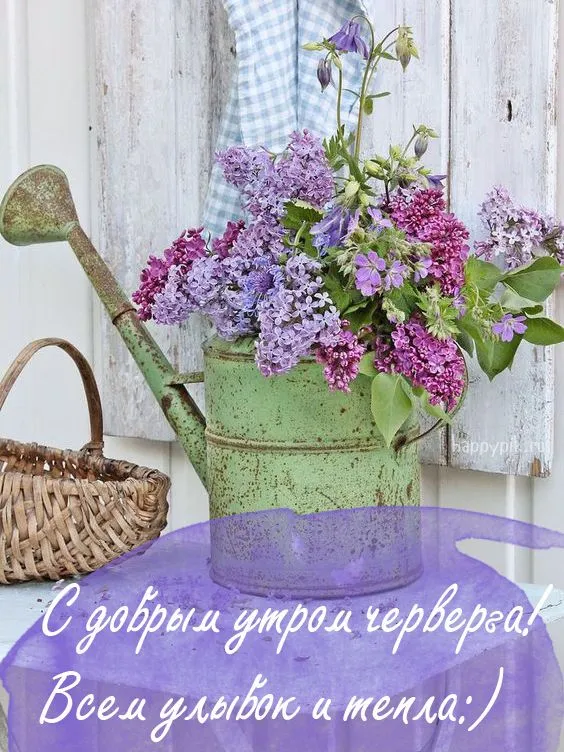 Открытка Доброе утро четверг - Открытка с сиренью в ведре: нежная весна | Красивая открытка #11