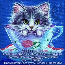 Открытка Доброе утро - Котенок в чашке: открытка с добрым утром | Красивая открытка #244