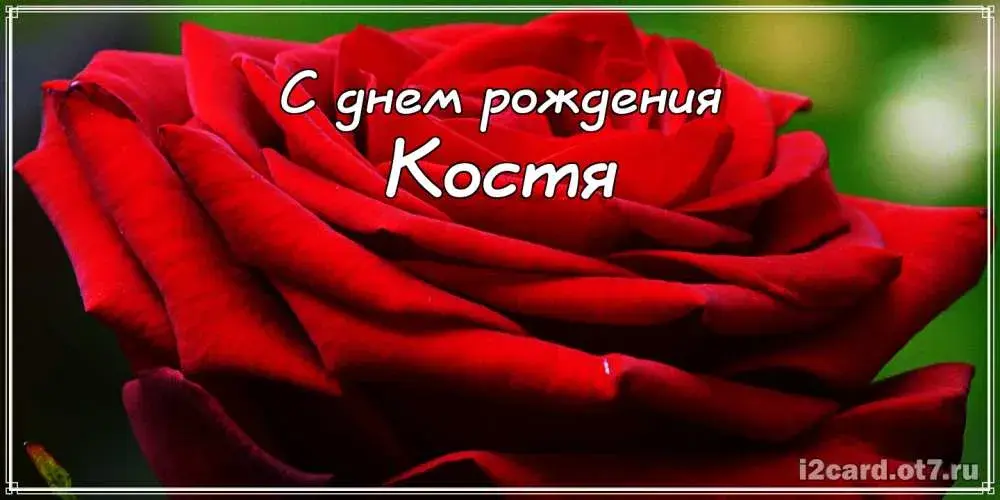 Открытка Открытки с именем Константин  - Красная роза: открытка с днем рождения | Красивая открытка #201