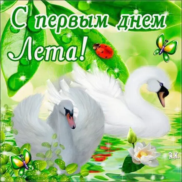 Открытка Первый день лета - Открытка с лебедями: нежные поздравления | Красивая открытка #135
