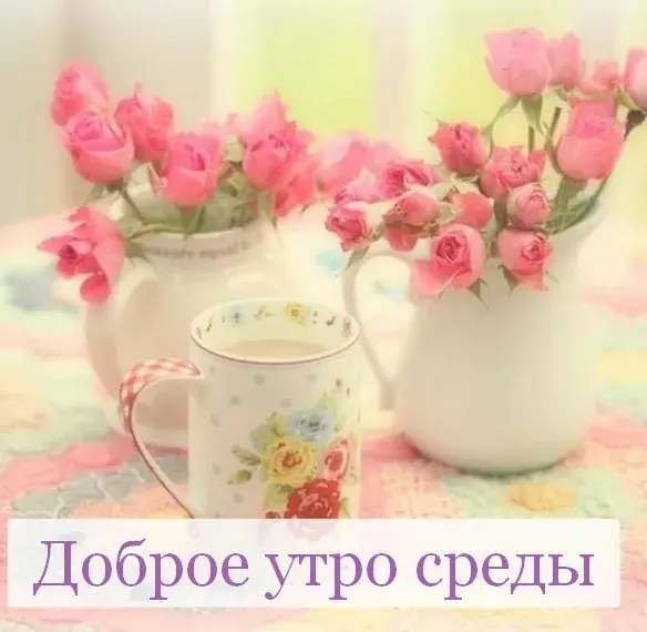 Открытка Доброе утро среда - Доброе утро розы | Красивая открытка #21