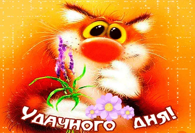 Открытка Удачного дня - Открытка с оранжевым котом и цветами | Красивая открытка #38