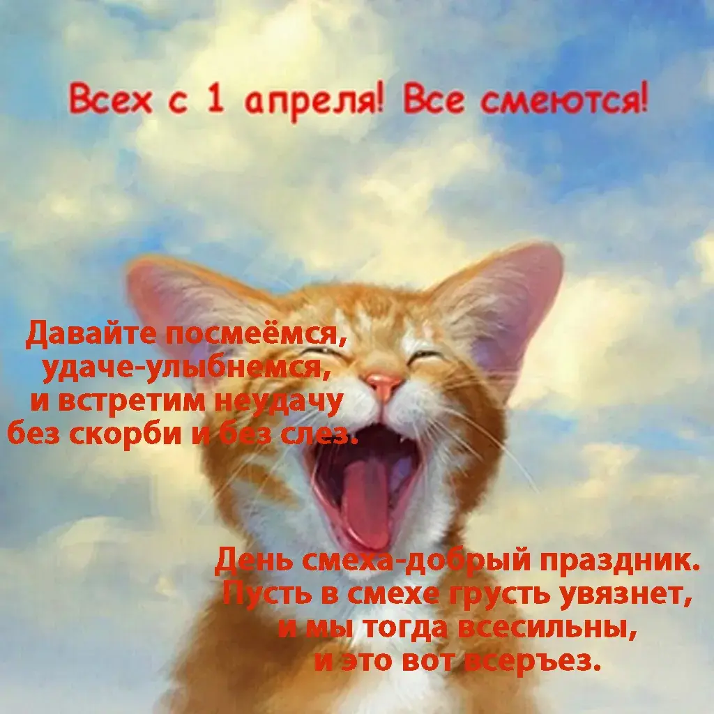 Открытка День смеха - Смешная открытка с котом на 1 апреля! | Красивая открытка #31