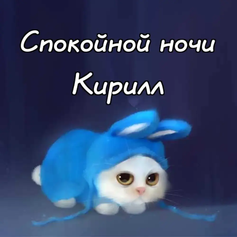 Открытка Открытки с именем Кирилл  - Голубой котенок с большими глазами - открытка | Красивая открытка #264