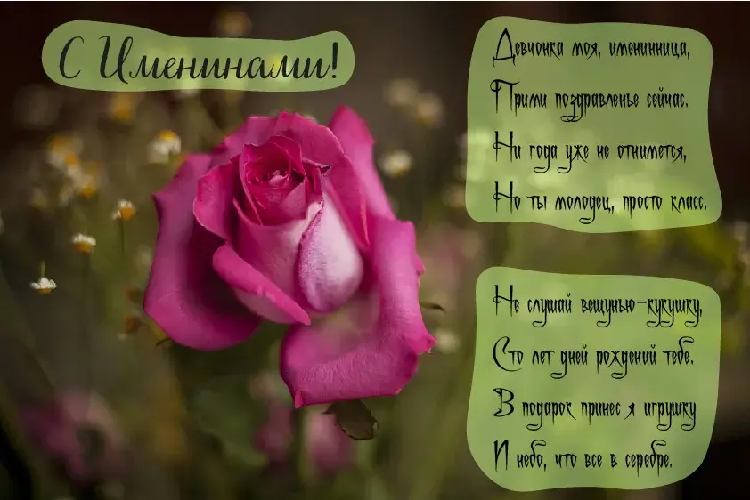 Открытка Именины - Розовая роза на открытке: нежная красота | Красивая открытка #5