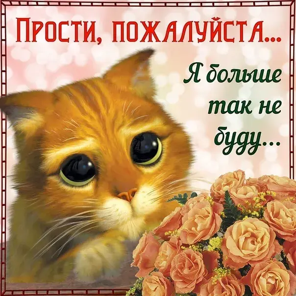 Открытка Прости меня - Котенок и цветы: праздничная открытка | Красивая открытка #1