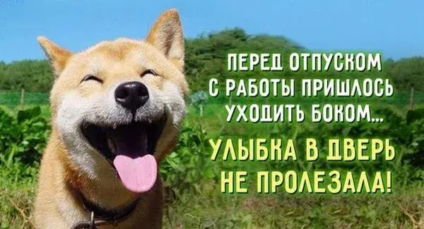 Открытка Хорошего отпуска - Весёлый пёс: открытка с улыбкой и травой | Красивая открытка #33