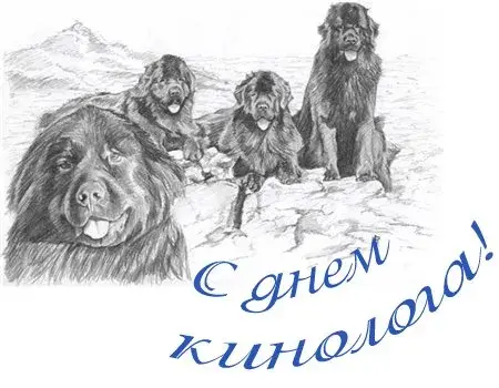 Открытка День кинолога - Открытка с щенками ньюфаундлендов. | Красивая открытка #21
