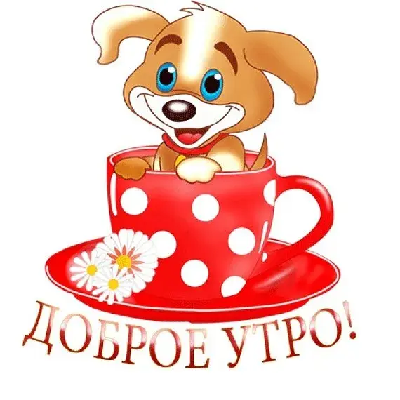 Открытка Доброе утро - Открытка с щенком в чашке: доброе утро! | Красивая открытка #421