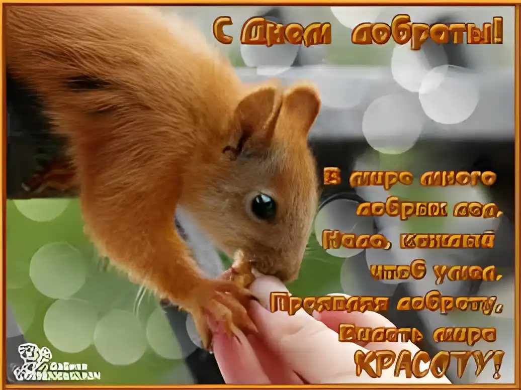 Открытка День доброты - Белка просит лакомство: открытка с милым зверьком | Красивая открытка #88