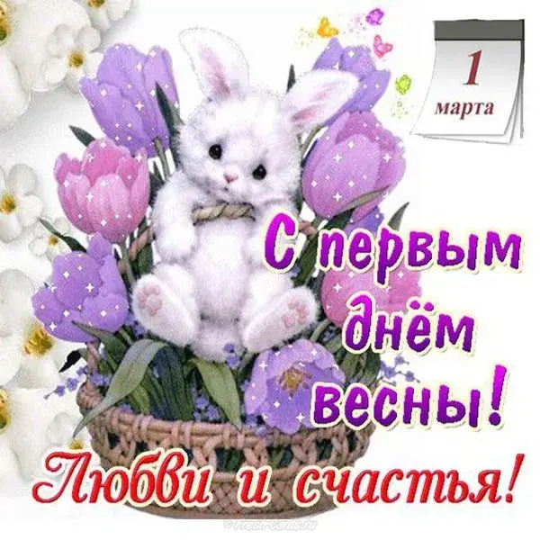Открытка Первый день весны - Открытка с тюльпанами и котенком: 1 марта  День любви и счастья | Красивая открытка #173