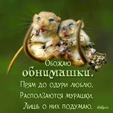 Открытка Обнимаю - Два милых бурундука на ветке. Симпатичная открытка. | Красивая открытка #30