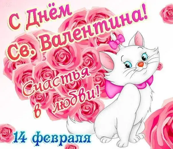 Открытка День всех влюбленных - Белая кошка с розовыми розами - открытка к 14 февраля | Красивая открытка #1