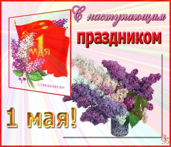 Открытка С сиренью - Открытка с 1 мая и сиренью | Красивая открытка #207