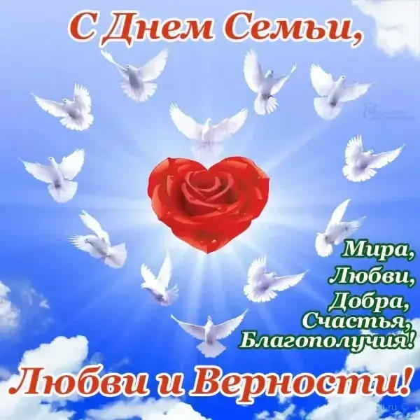 Открытка День семьи - Открытка с голубями и красной розой | Красивая открытка #114