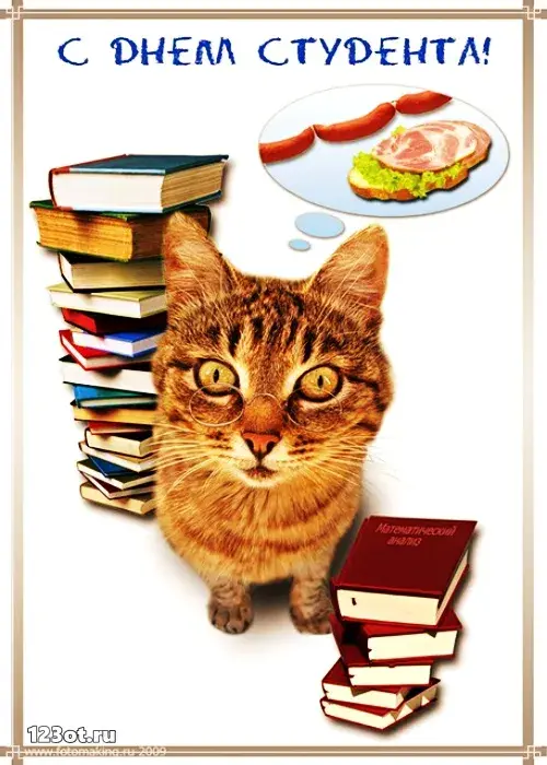 Открытка открытки на день студента  - Открытка с котом и книгами: С Днем знаний! | Красивая открытка #88