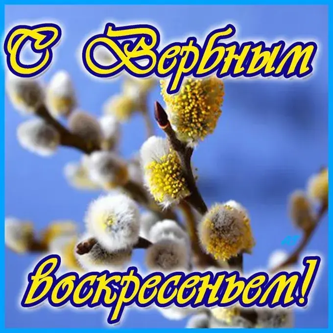 Открытка С вербным воскресеньем - Цветущая верба: нежная весенняя открытка | Красивая открытка #85