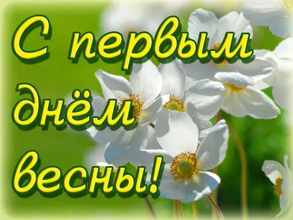 Открытка Первый день весны - Открытка с белыми цветами на зеленом фоне | Красивая открытка #151