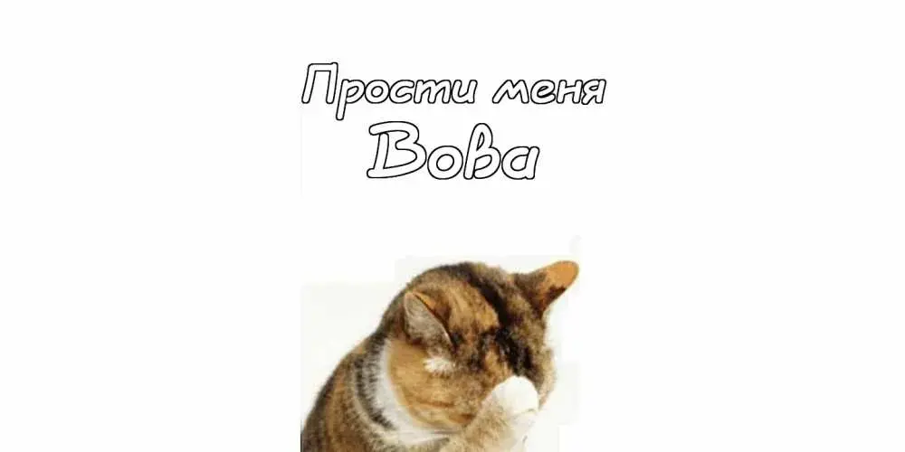 Открытка открытки с именем Владимир - Бобра
Открытка с котом: смешное поздравление! | Красивая открытка #128