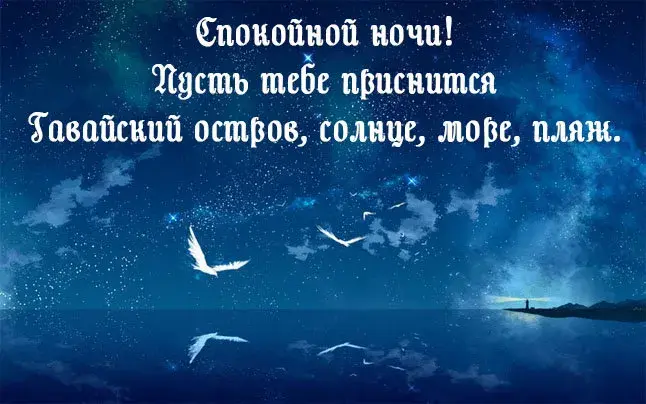 Открытка Доброй ночи - Открытка: Птицы на фоне ночного неба и моря | Красивая открытка #73
