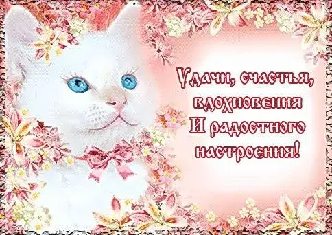 Открытка С пожеланиями удачи - Белый котенок с голубыми глазами на открытке | Красивая открытка #16