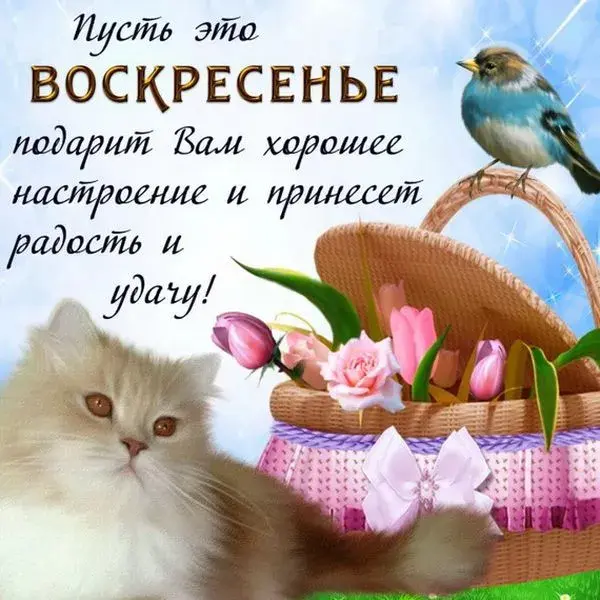 Открытка Воскресенье - Открытка с котенком, цветами и птичкой | Красивая открытка #9